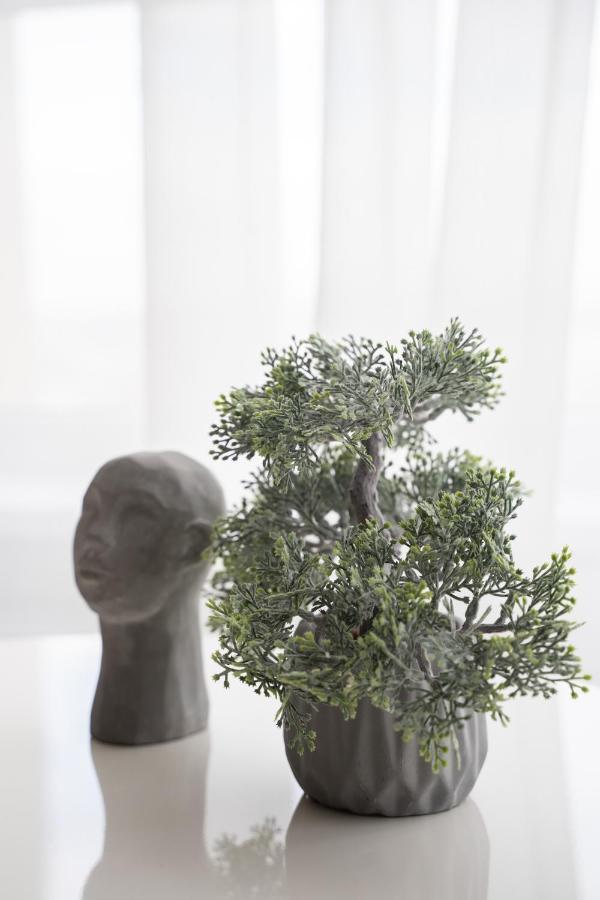 Rentwill Apartments Valley Of Roses Sectorul Sectorul Botanica 외부 사진